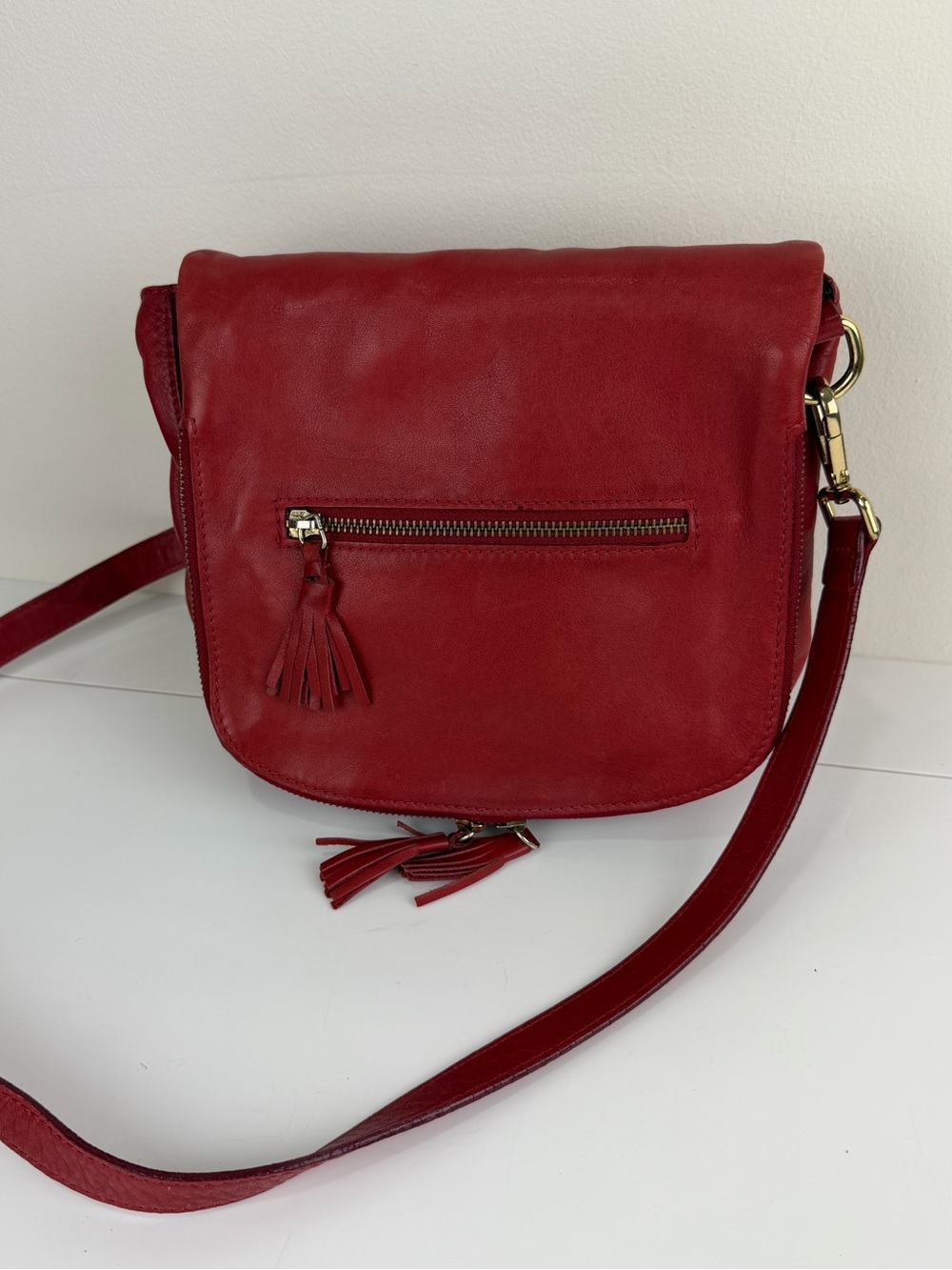 Alberta di Canio Y2K Italian Leather Crossbody Messenger Bag Red Tassel